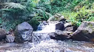 River Sounds for Calm Sleep and Peace