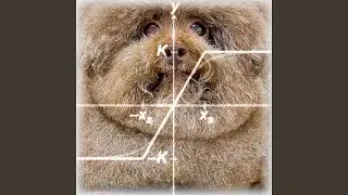 non-linear goon