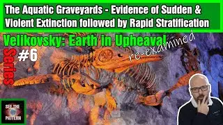 Earth in Upheaval #6: Evidence of Sudden & Violent Extinction followed by Rapid Stratification