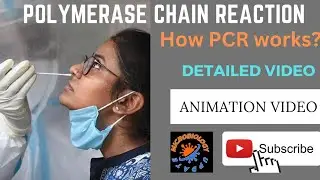 PCR | Polymerase Chain Reaction | PCR Test | #pcr | #microbiologyupdate | #microbiology