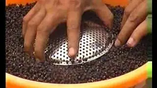 Two-in-One Model Trap
