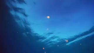 5 hours  ocean abyss ambient view