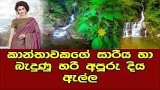 කාන්තාවකගේ සාරියක් වගේ වුණු අපුරු දිය ඇල්ල | Saari Ella Waterfall