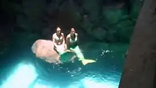 Sereias - Atração no Aquário SP (vídeo 2)
