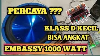 Tpa3116d2 Class d VS Speaker Embassy 1000 Watt