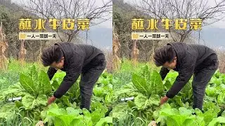 最近sha猪饭吃太多了，今天弄点刮油的来吃😂#我的乡村生活 #农村美食 #抖音美食推荐官 #我要上热门🔥 #牛皮菜