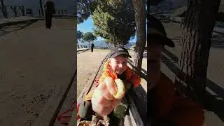 Чим зайняти 4річну дитину під час каникул у Барселоні? Програма на день