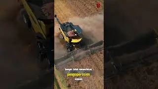 100 Ton/Hour Harvester?! The World's Strongest Wheat Harvester! #uniquefacts #worldfacts #harvest...