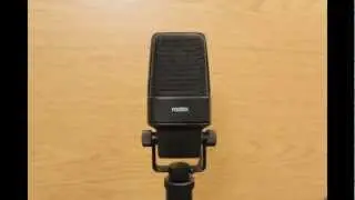Fostex M11RP カーディオイドプリンテッドリボンマイク デモ（リアンプ）
