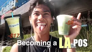 becoming an LA POS