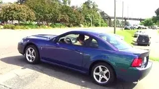 Mustang leaving SVT Cobra Club - Parkway Ford Show 2013 (1 of 3)