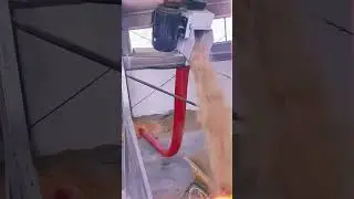 Wood Chip Hose Screw Conveyor