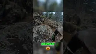 Idaho Duck Hunting: Amazing Greenhead & Wigeon Shots! #shorts
