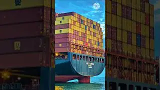 😳 INSANE Close - Up of GIANT MSC Container Ship Passing RIGHT NEXT To Us 🚢 #shorts #msc #ship #sea