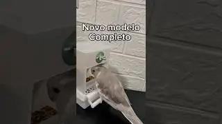 Comedouro para p&aacute;ssaros &bull; alimentador autom&aacute;tico para calopsitas - #pets