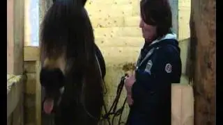 Linje Borka (hoppe etter Bork Rigel)