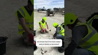 One of the longest dinosaur trackways uncovered in Oxfordshire quarry