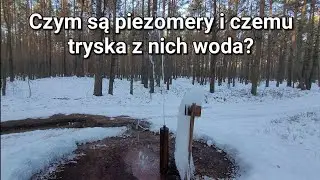 Gdzie się podziała woda ze Sztoły? Wypływa koło Lasek i tworzy rzeźby lodowe. #ice #forest #nature 