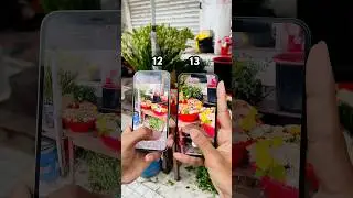 iPhone 12 Vs iPhone 13 || Camera Comparison! #shorts
