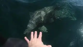 Destin, Florida Fishing Trip 2019 Montage