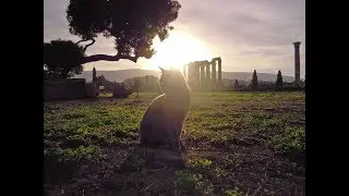 GREECE: Athens | Arch of Hadrian, Temple of Olympian Zeus, Little Metropolis | Photos - (2.2.2019)