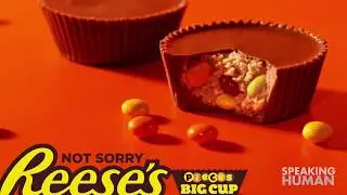 AdWatch: Reeses / Not Sorry - Decisions