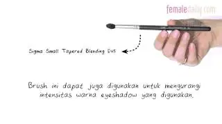 #FDBeauty: Tapered Blending Brush