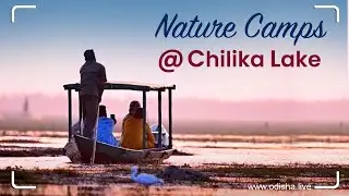 Chilika Wildlife & Nature Camp at Chilika Lagoon | Odisha Tourism - Eco Tour | 4K