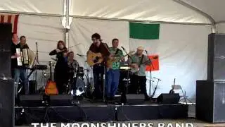 A BAND OF ROGUES  Irish Rover