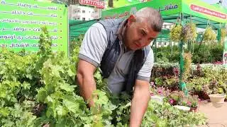 انجازات اردنية | مشتل ومعرض الأمير | م. عبدالله يوسف طالب