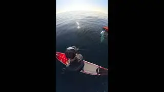 Paddleboarder Finds Possible US Navy Training Target Off California Coast