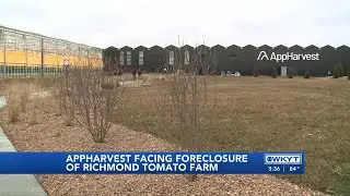 WATCH | AppHarvest could face foreclosure of Richmond tomato farm