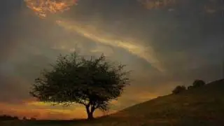 Relax music: Shadowplay (Map of the warm night)- Tim Story