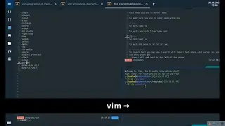 /Vim Basics: Movement, Insert, Delete, Exit