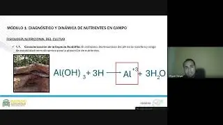 Webinar - Seguimiento e interpretación Nutricional en el Cultivo de Arándanos