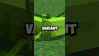 Minecraft's Rarest Axolotl