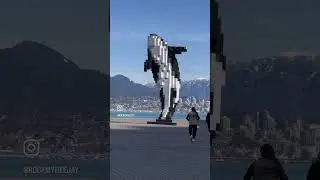 Digital Orca