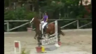 encerramento chevals.mp4