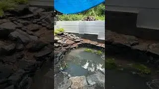 kerala natural pond making.. tropical landscape design by STUDIO CONNECT