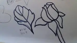 How to Transfer a Design onto Fabric for Fabric Painting