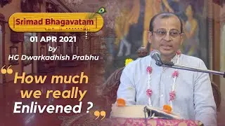 How much we really enlivened | Bhagavatam Snippet | HG Dwarkadhish Das | 1st April 2021