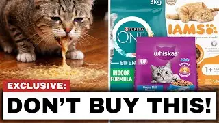 8 Cat Food Brands North Americans Should AVOID (Never Buy These)