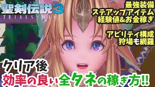 【聖剣伝説3 リメイク】クリア後‼超効率的な全タネ(種)稼ぎ方法‼場所&アビリティ構成&設定解説‼最強装備&ステアップアイテム(水&秘薬)&経験値&お金稼ぎがまとめて出来る‼【ネタバレ】