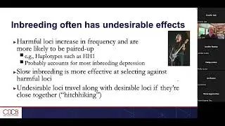 Dr. John Cole discusses the impact of inbreeding in Holstein dairy cattle.