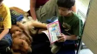C.O.P.E Service Dogs