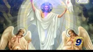TOTUS TUUS | Papa Francesco - Laudato sì - Lettera Enciclica (25 agosto)