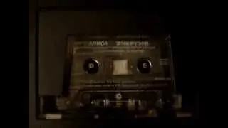 MOV08211