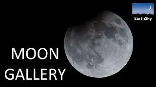 Super Harvest Moon and Lunar Eclipse Pics!