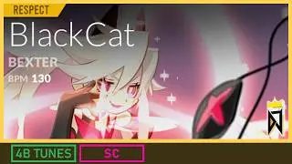 BlackCat  4B SC/7 PERFECT PLAY【DJMAX RESPECT V】