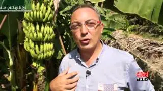 Para Dedektifi Aile Çiftliği   22 Kasım 2015